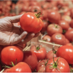 Како да препознаете Прскан домат ПОЛН СО АДИТИВИ? Потребни се неколку секунди за да бидете сигурни дека е третиран со хемикалии