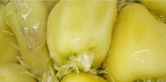 СТАР ЗИМСКИ РЕЦЕПТ КОЈ ГО САКААТ МАКЕДОНСКИТЕ ДОМАЌИНКИ: Кисела пиперка полнети со зелка БЕЗ КОНЗЕРВАТИВИ И ОЦЕТ