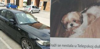 Го вети своето БМВ дека ќе му го даде на кој ќе го најде неговото куче: Сега приказната има поинаков крај