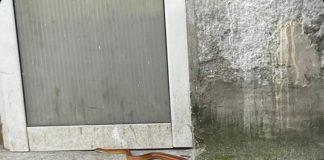 ОВАА ЗМИЈА ЈА ИМА ОКОЛУ СЕКОЈА КУЌА! Ако ја убиеш, те чека СТРАШНА СУДБИНА, НЕ МОЖЕШ НИ ДА ЗАМИСЛИШ