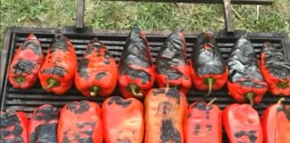 Си правеле АЈВАР во КАНАДА, ЗА МАЛКУ ЌЕ ЗАВРШЕЛЕ ВО ЗАТВОР!