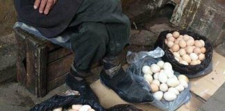 Старецот, жената и јајцата од 6 денари