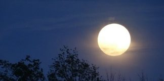 УТРЕ Е ПОЛНА МЕСЕЧИНА – 3 ЗНАЦА СЕ НА УДАР: Ги очекува вистинска драма, СЕ НАДЕВАМЕ ДА НЕ СТЕ МЕЃУ НИВ