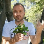 БИЛКАР МОМЧИЛО ОТКРИВА: Листот од маслинката е појак од бруфен, а лек за болеста од која боледуваат половина НАРОД