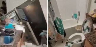 Детето го уништило целиот стан, оти му го одзеле телефонот: Родителите доживеале нервен слом кога се вратиле од работа