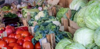 ЛЕКАРИТЕ ОТКРИЛЕ КОЈА ХРАНА НАЈМНОГУ ТРЕБА ДА ЈА ЈАДЕТЕ НА ЕСЕН: Не само што е здрава, туку и ќе ви го промени расположението за неколку секунди!