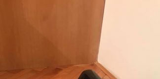 Вашата правосмукалка не работи како ПРЕТХОДНО? Не мора да купувате НОВА, само направете ги овие чекори и ќе биде како нова!