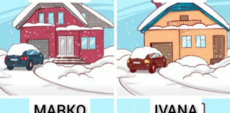 САМО ЗА ВИСТИНСКИ ДЕТЕКТИВИ: Имало кражба, кој е крадецот?