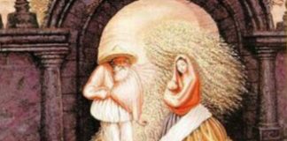 Проверете дали сте гениј: Колку лица можете да видите на оваа слика?