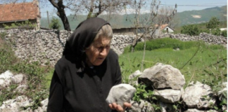 НАУЧНИЦИ ОТКРИУВААТ ТАЈНА СОСТОЈКА ЗА ДОЛГ ЖИВОТ: Сите ја имаме дома или градината и не знаеме како да ја користиме