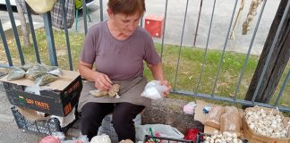 1000 пати да го измиете гравот бадијала, ако не го знаете овој трик!