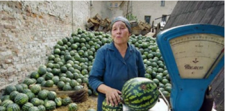 Приказна која вреди да се прочита: Старица што продавала лубеници: 1 лубеница за 3 евра и 3 лубеници за 10 евра