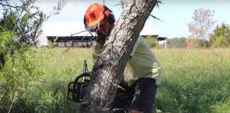 Божјо ЧУДО пред празници или нешто друго? Млад човек сечел дрво и видел ЛИЦЕ, веднаш МУ СТАНА ЈАСНО ЧИЕ Е (ФОТО)