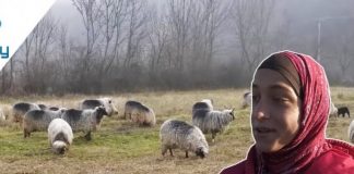Најмладата девојка чува овци и се грижи за сестрата со посебни потреби: ОД ТОГАШ СЕ ШКОЛУВА И ЗАРАБОТЕТУВА ЗА ЏЕПАРЛАК! (ВИДЕО)