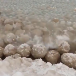 Неверојатен феномен снимен во море: Океанот беше покриен со огромни јајца, а еве за што се работи во ВИДЕО