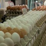 НЕ КУПУВАЈТЕ ГИ ОВИЕ ЈАЈЦА! Се продаваат на ПАЗАРИТЕ, А НЕ СЕ БЕЗБЕДНИ – ризикувате да добиете СЕРИЗНА ИНФЕКЦИЈА