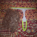 ЗА СЕКУНДА ГИ ИЗВЕДИ СИТЕ ВЛАКНА И ПРАШИНА ОД ТЕПИХОТ: Оваа ситница го чисти тепихот како луда, подобро од правосмукалка !