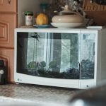 МИКРОБРАНОВАТА ЌЕ СВЕТНЕ КАКО НИКОГАШ ДО СЕГА: Само направете го ова и ќе ја исчистите целата нечистотија за една минута