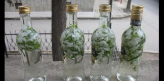БАБИН ЛЕК со кокиче и ракија: Против настинка, за бистар ум и СОКОЛОВО ОКО