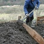 НУДИ САТНИЦА ОД 500 ДЕНАРИ, А РАБОТНИЦИ НЕМА: Луѓето се шокирани што никој не се пријавува, еве ЗА КОЈА РАБОТА СЕ РАБОТИ