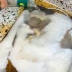 ИЗМЕШАЛА сода бикарбона и оцет, СЕ СЛУЧИ ВИСТИНСКА МАГИЈА: ЌЕ ВИ БИДЕ КРИВО ШТО НЕ СТЕ ЗНАЕЛЕ ЗА ОВОЈ ТРИК ПОРАНО!