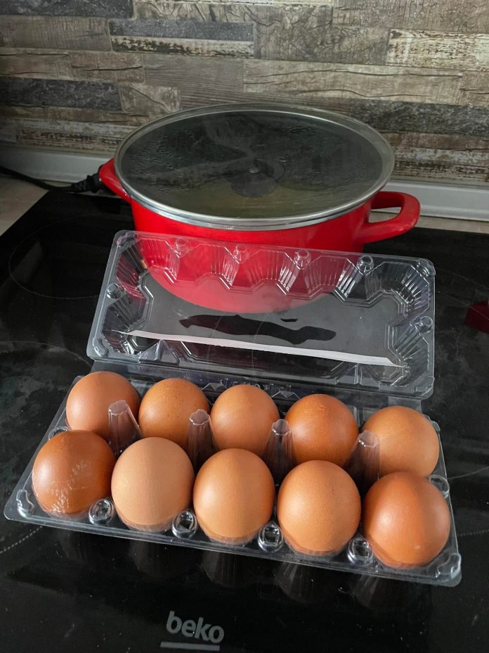 330314775_2998297617145312_8952367421313528831_n