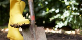ИСКУСНИ ГРАДИНАРИ ЈА СТАВААТ ОВАА НАМИРНИЦА НИЗ ДВОРОТ: Кога ќе слушнете и зошто, НЕМА ДА СЕ ДОМАЛУВАТЕ ДА ГО НАПРАВИТЕ ИСТОТО!