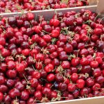 ЕВЕ КОЈ ТРЕБА ПОСТОЈАНО ДА ЈАДЕ ЦРЕШИ: Доволно е само една шака за да го подобрите вашето ЗДРАВЈЕ, погледнете дали сте МЕЃУ НИВ!