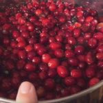 БРУСНИЦАТА СПРЕЧУВА УРИНАРНИ ИНФЕКЦИИ, ГО ЗАШТИТИ СРЦЕТО, КОРИСНА ЗА ЛУЃЕТО КОИ боледуваат ОД ДИЈАБЕТЕС ТИП 2: Еве како правилно да го направите ЧАЈОТ ОД БРУСНИЦА!