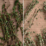 Бев како вистински вампир, сон не ме фаќаше додека не го открив чајот од овие 3 билки!