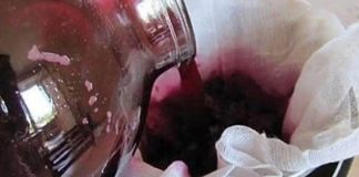 ФЕРМЕНТИРАН СОК ОД ЦВЕКЛО: Нема подобар од него за имунитет, најдобра заштита од болести