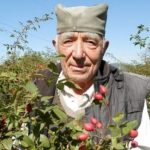 Му се смееле што засадил трн, сега овој ЧОВЕК заработува 7000 евра во сезона!