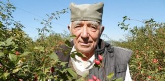 Му се смееле што засадил трн, сега овој ЧОВЕК заработува 7000 евра во сезона!