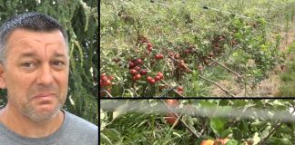Дејан и неговата сопруга создадоа совршен бизнис кој ќе им обезбеди 15 години убав живот! И тогаш сè беше збришано за 15 минути
