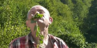 СТАНКО ЈАДЕ врапчиња, жаби, полжави! НАЈМНОГУ САКА ЦРВИ: Често е гладен, а има само една желба во животот!