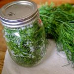 Бев станата како вистински вампир, сон не ме фаќаше додека не го открив чајот од овие 3 билки