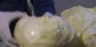 Како да ја направите вашата кисела зелка жолта како дукат: Тајната е во 1 неверојатна состојка