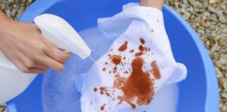 КАКО ДА СЕ ОТСТРАНАТ ДАМКИТЕ ОД КАФЕ И ЧАЈ? Потребна е само една состојка, а повеќето луѓе веќе ја имаат во својот дом!