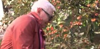 Луѓето се шокираат кога ќе слушнат што му расте во дворот пензионер! Развивме бизнис од соништата (ФОТО)