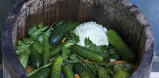 Како монасите во манастирот Рибница подготвуваат Зимница? 3 видови салата кои секое домаќинство треба да ги има оваа зима