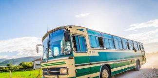Млада девојка живее сама среде шума во стар автобус: Дневната соба е надвор, а кога ќе ја видите внатрее, ќе се шокирате! (ВИДЕО)