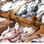 И лице кое не се разбира во риба може да провери дали е свежа: 3 показатели веднаш откриваат колку време поминало од уловот