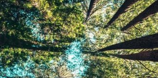 Зошто на МРТВИТЕ им даваме 40 дена? Научниците Тврдат дека она што се случува со ДУШАТА во тој период ќе ве запрепасти!