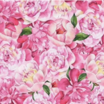 Можете ли да најдете ПЕПЕРУТКАТА? Малкумина ЈА ГЛЕДААТ, потребни ви се 15 СЕКУНДИ за да го соборите РЕКОРДОТ