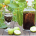 КАКО СЕ ПРАВИ ОРЕОВКА – ЛИКЕР ПОДОБАР ОД ЛЕКОВИ: Природен еликсир за тироидната жлезда, желудникот, белите дробови и забрзување на метаболизмот