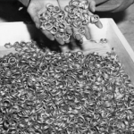 НАЈТАЖНАТА СЛИКА ВО ВТОРА СВЕТСКА ВОЈНА Животот им згасна за само еден ден, а килограмите од ова злато сведочат за ужасните страдања