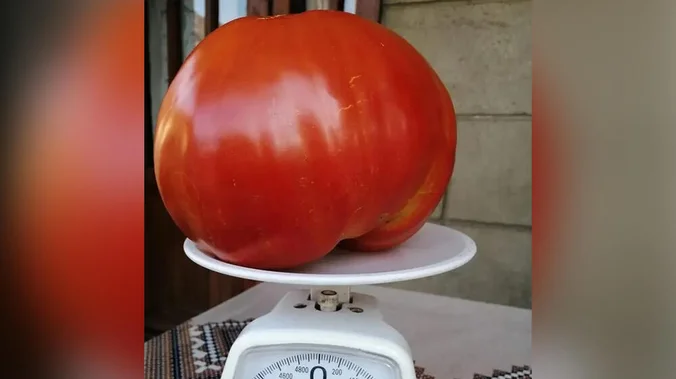 676