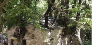 ПОГЛЕДНЕТЕ ЈА ЦРКВАТА БОЖЈО ЧУДО: Од покривот растат 17 огромни дрвја