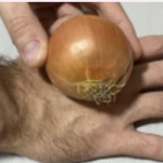 Трик вреден златo: Користете ја оваа ТЕХНИКА за да исецкате Кромид побрзо од кога било!(Видео)