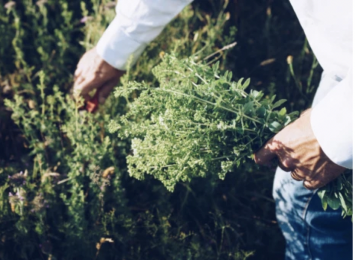 Screenshot 2022-09-18 at 08.06.07